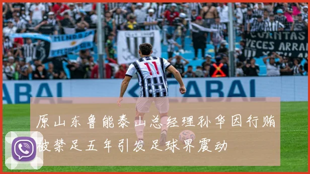 原山东鲁能泰山总经理孙华因行贿被禁足五年引发足球界震动