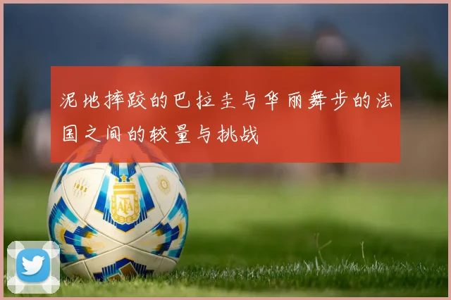 泥地摔跤的巴拉圭与华丽舞步的法国之间的较量与挑战